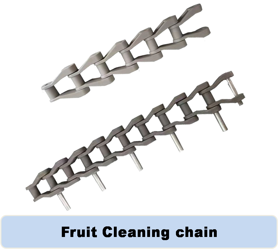 Fruit cleaning chain